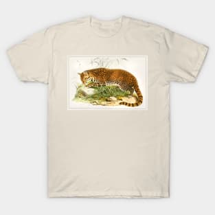 Leopard illustration T-Shirt